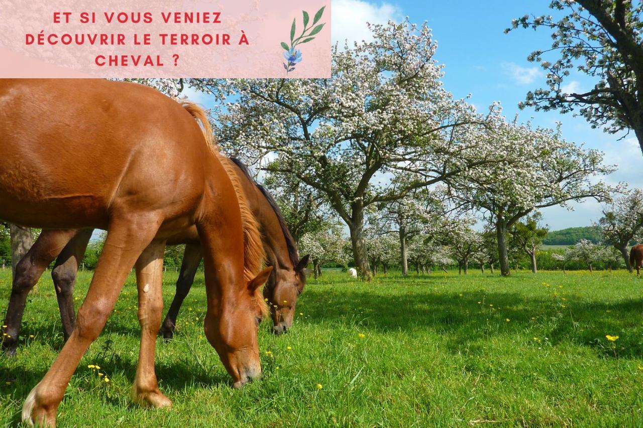 Suite Jungle - Jardin, Netflix Et Parking - Le Manoir Aux Pommes Orbec Екстериор снимка